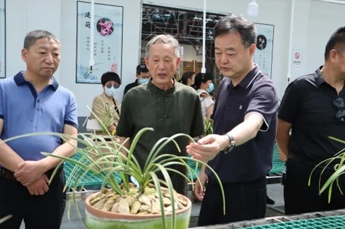 【鄉(xiāng)村振興】紅蓮村里看蘭花，蘭園繁育項(xiàng)目讓村民致富有了新路子！